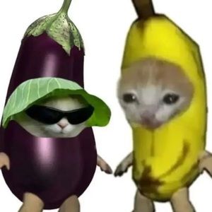 Meet your Posher, Judith